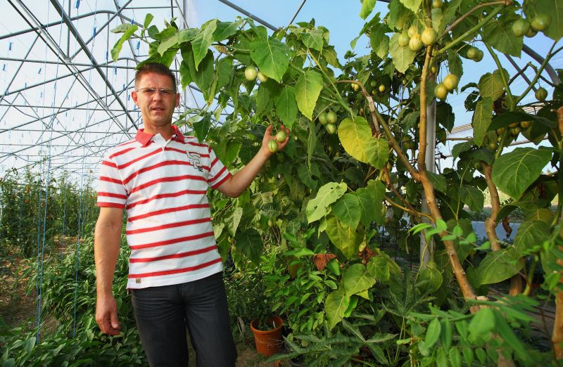 Photo: Tomislav Miletic/PIXSELL