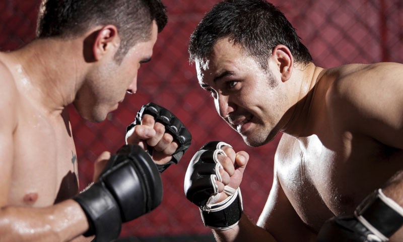 Iako zasad nije poznato tko će sve nastupiti u Areni, organizator vjeruje u odličnu popunjenost/Thin