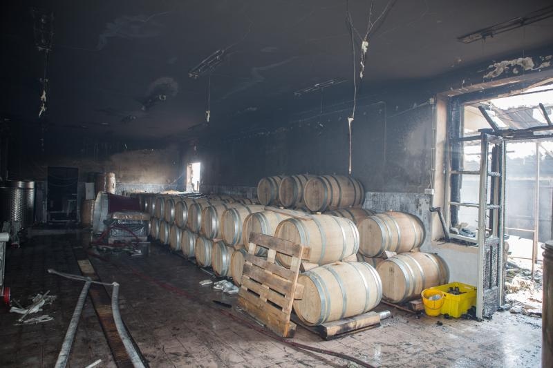 Foto: Grgo Jelavic/PIXSELL