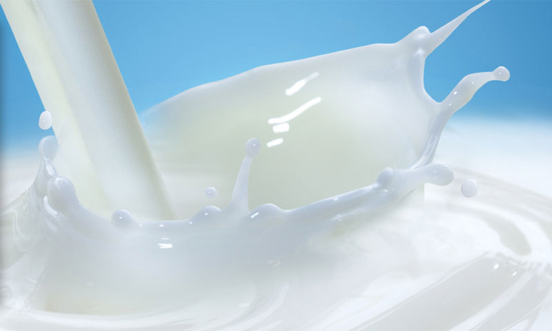 Proizvođači mlijeka upozoravaju: od proljeća 2015. srušit će se otkupna cijena