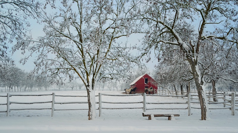 Ivandvor Đakovo , Igor Profusek