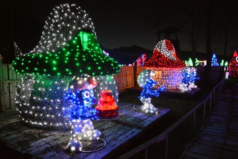 Foto: Damir Špehar / Pixsell