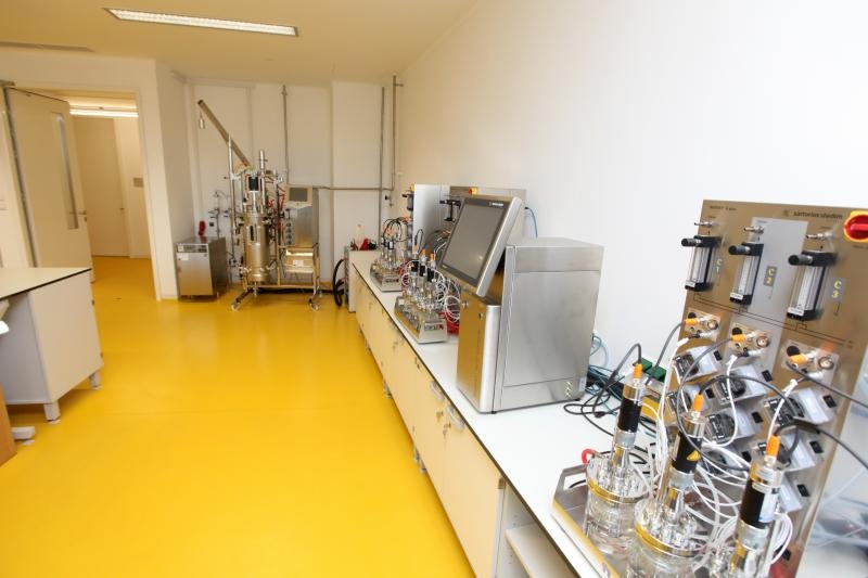 Foto: Zeljko Lukunic/PIXSELL