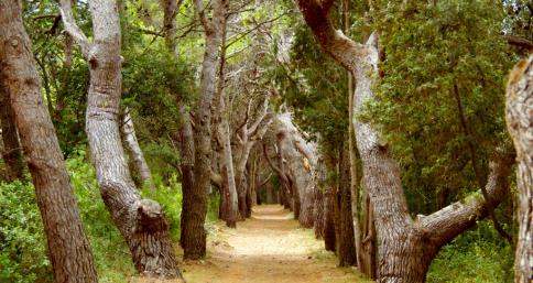 Izvor: http://www.tzg-biograd.hr/