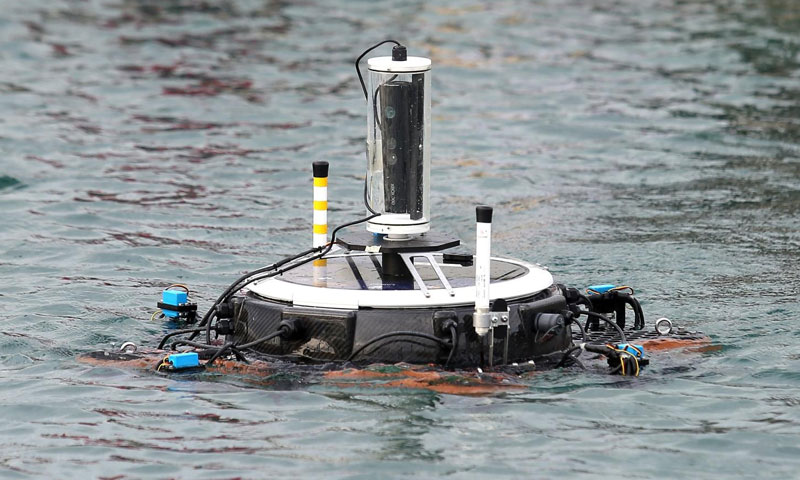 Foto: Duško Jaramaz/PIXSELL