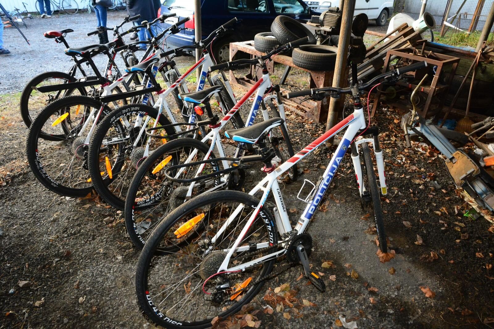 Foto: Ivica Galovic/PIXSELL