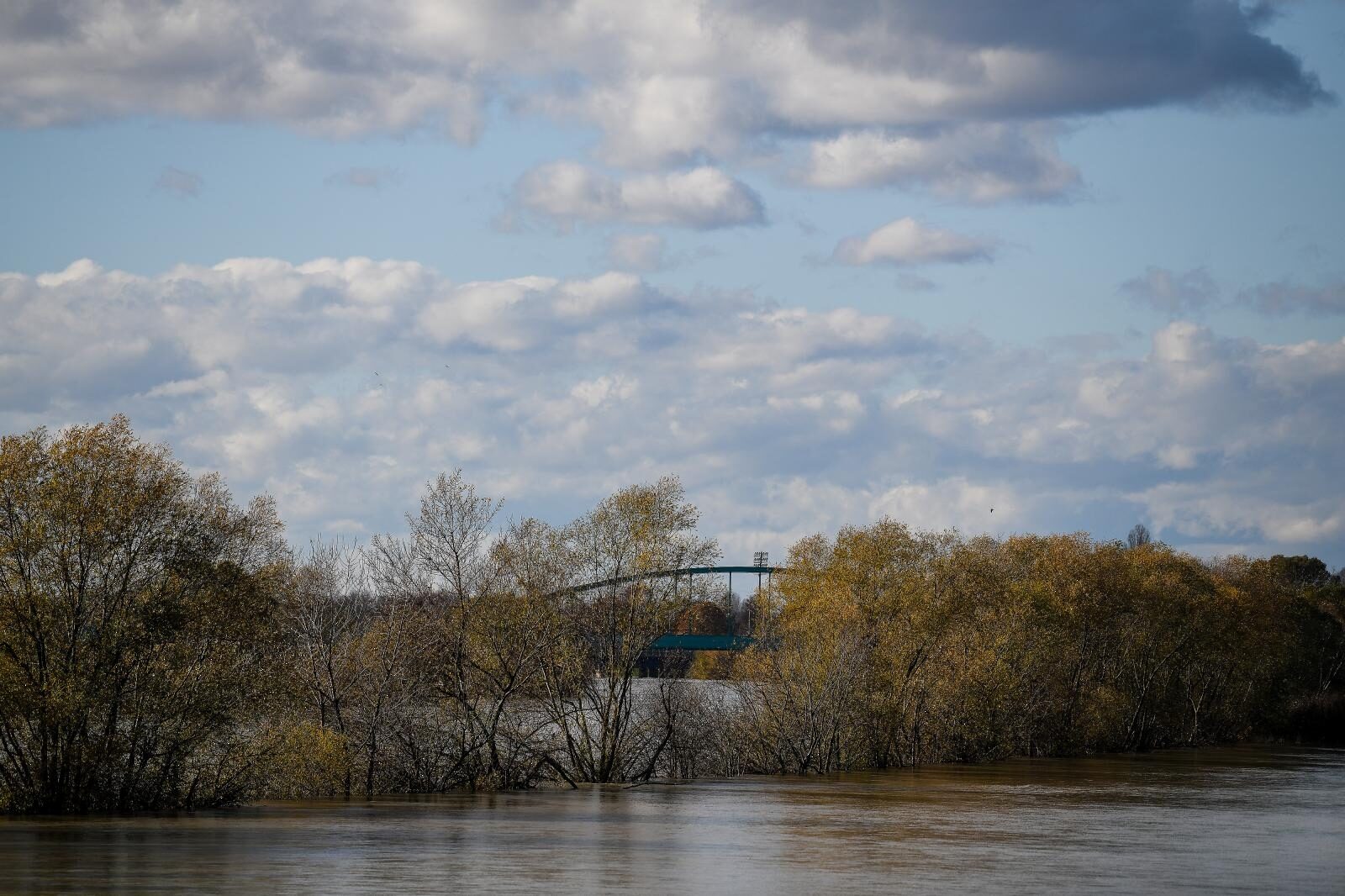 Foto: Sandra Simunovic/PIXSELL