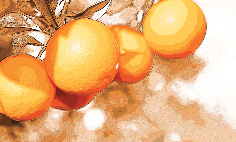 Foto: Fotomontaža: Poslovni dnevnik/FOTOLIA