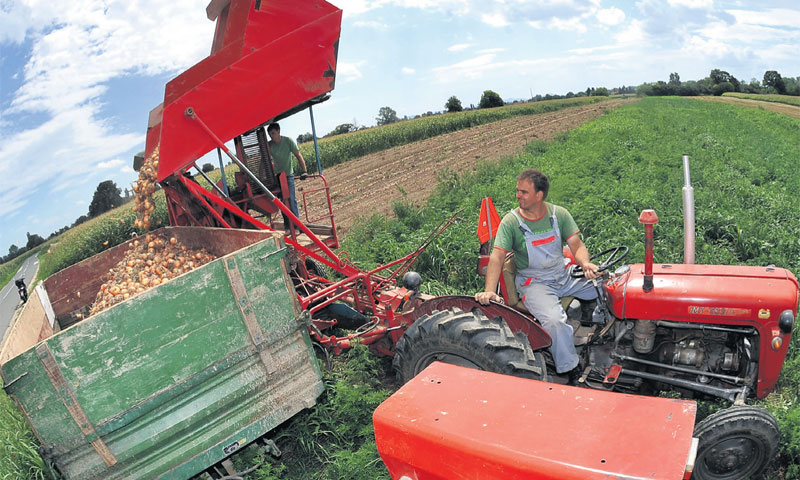 Međimurje poznato po brojnim obiteljskim gospodarstvima/Vjeran Žganec Rogulja/PIXSELL