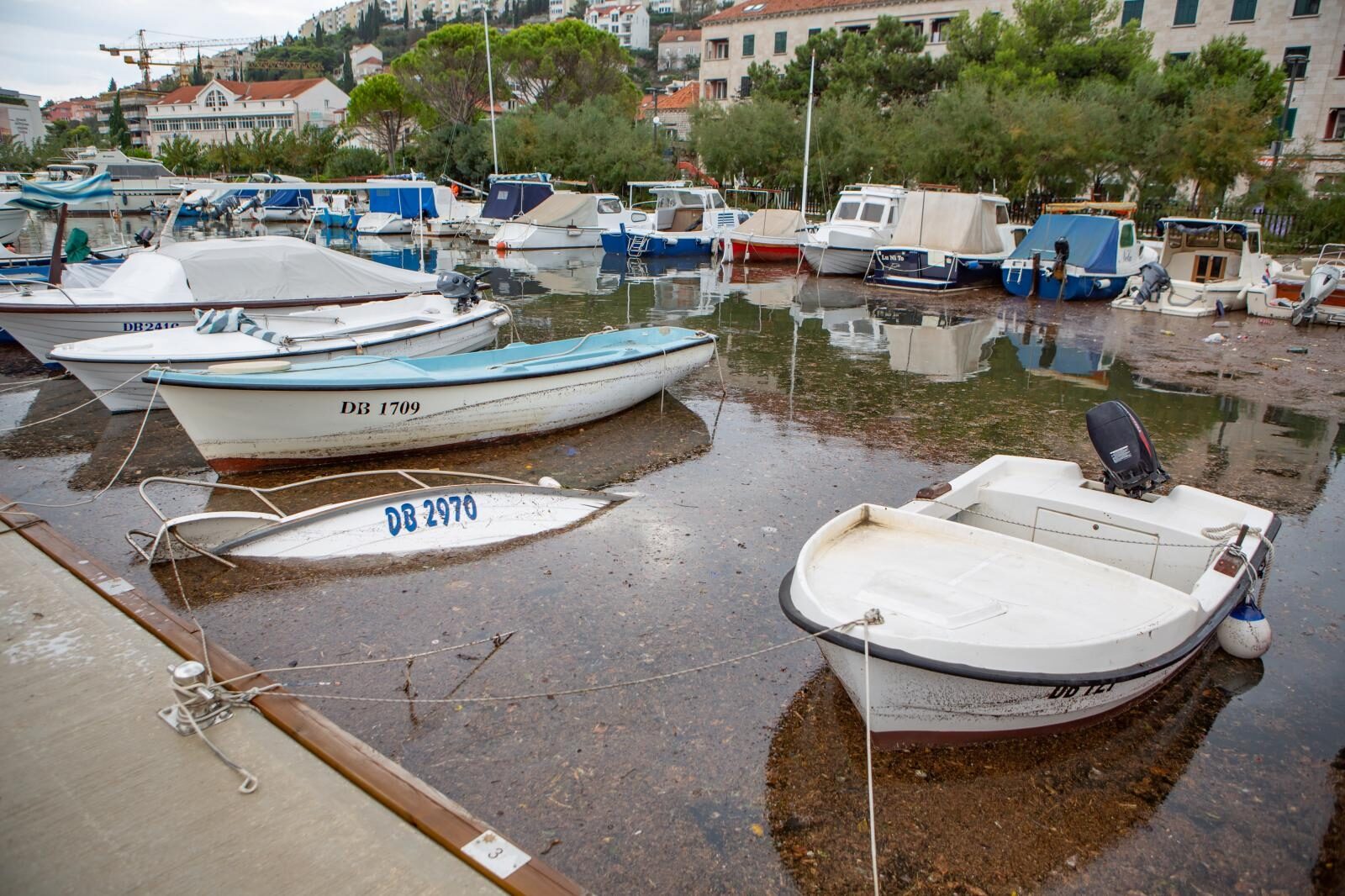 Foto: Grgo Jelavic/PIXSELL