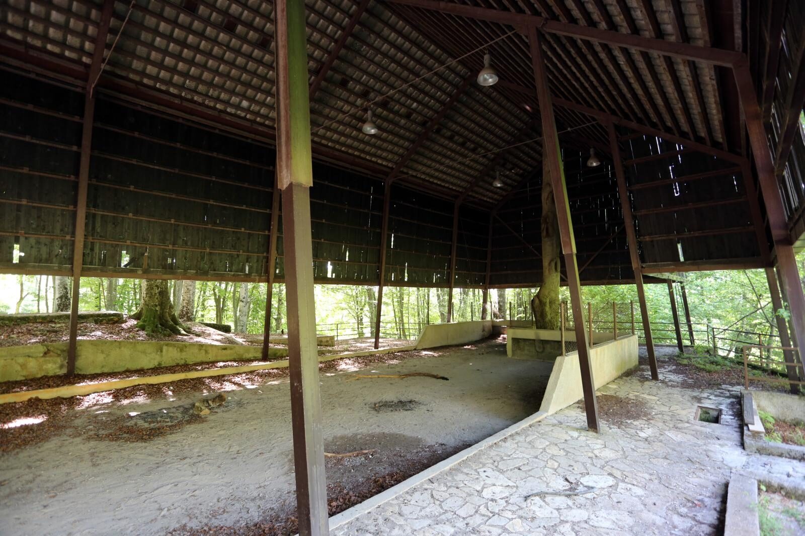 Foto: Goran Kovačić / Pixsell