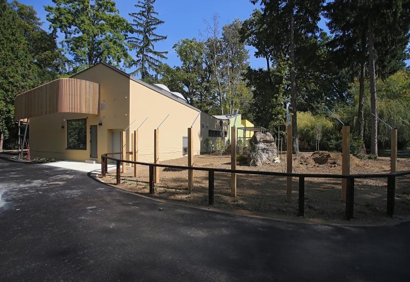 Foto: Jurica Galoić / Pixsell