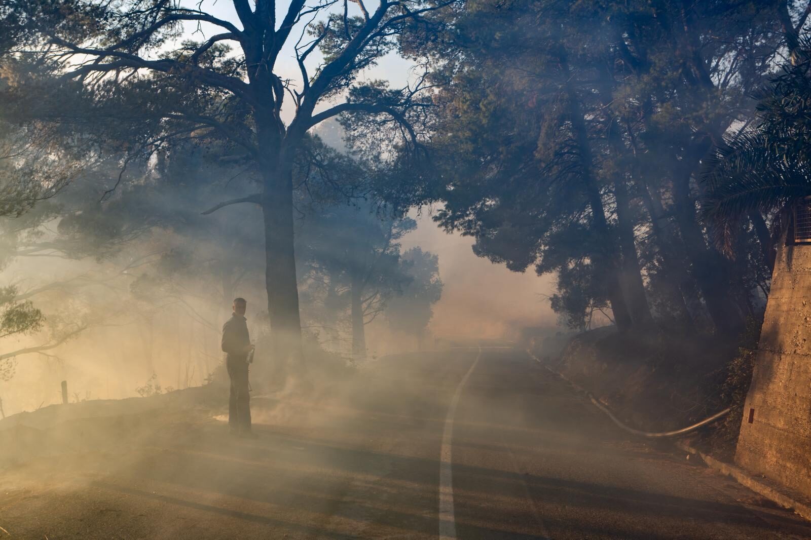 Foto: Grgo Jelavić / Pixsell