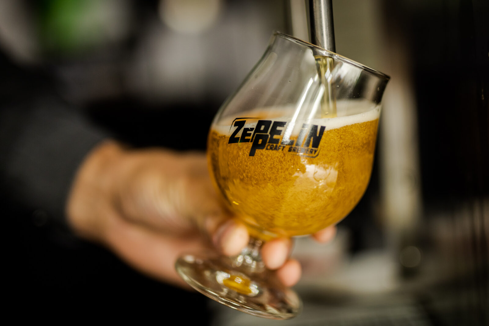 Photo: BOJAN HARON MARKIČEVIĆ