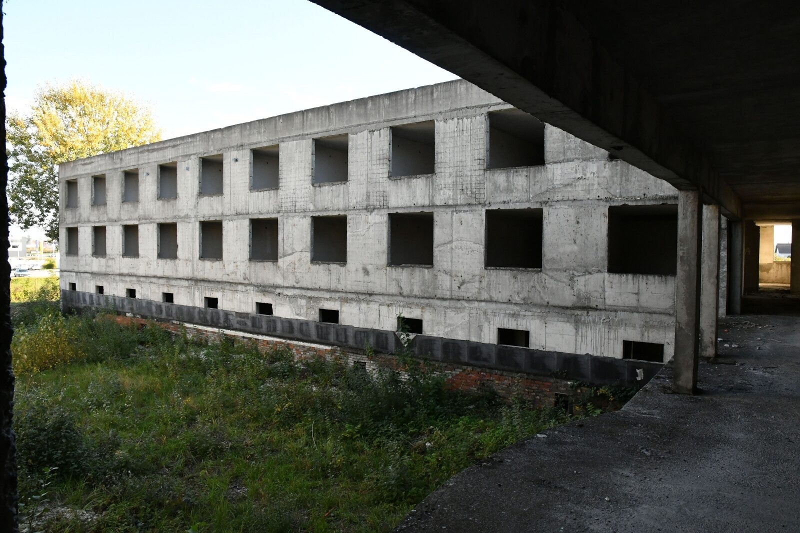 Foto: Ivica Galovic/PIXSELL