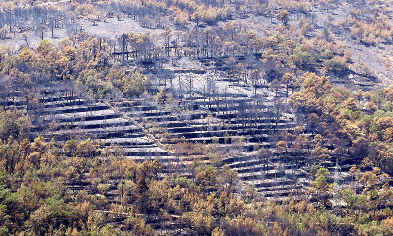 Foto: Ivo Čagalj/PIXSELL