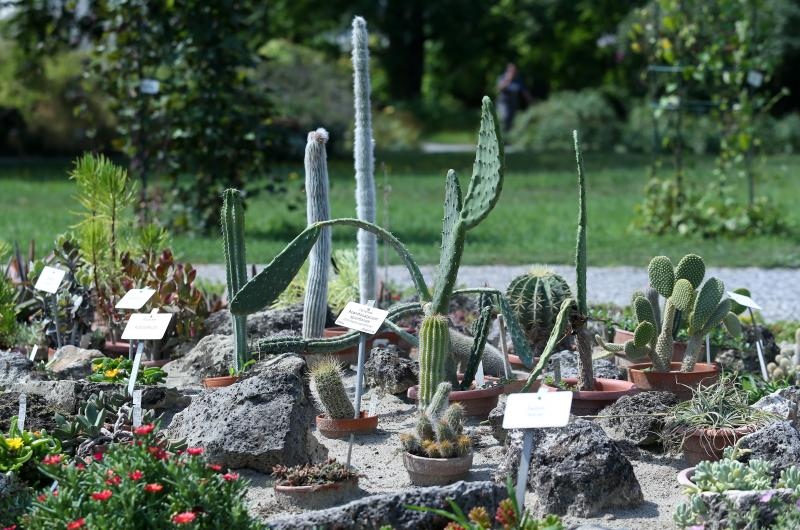 Foto: Sanjin Strukic/PIXSELL