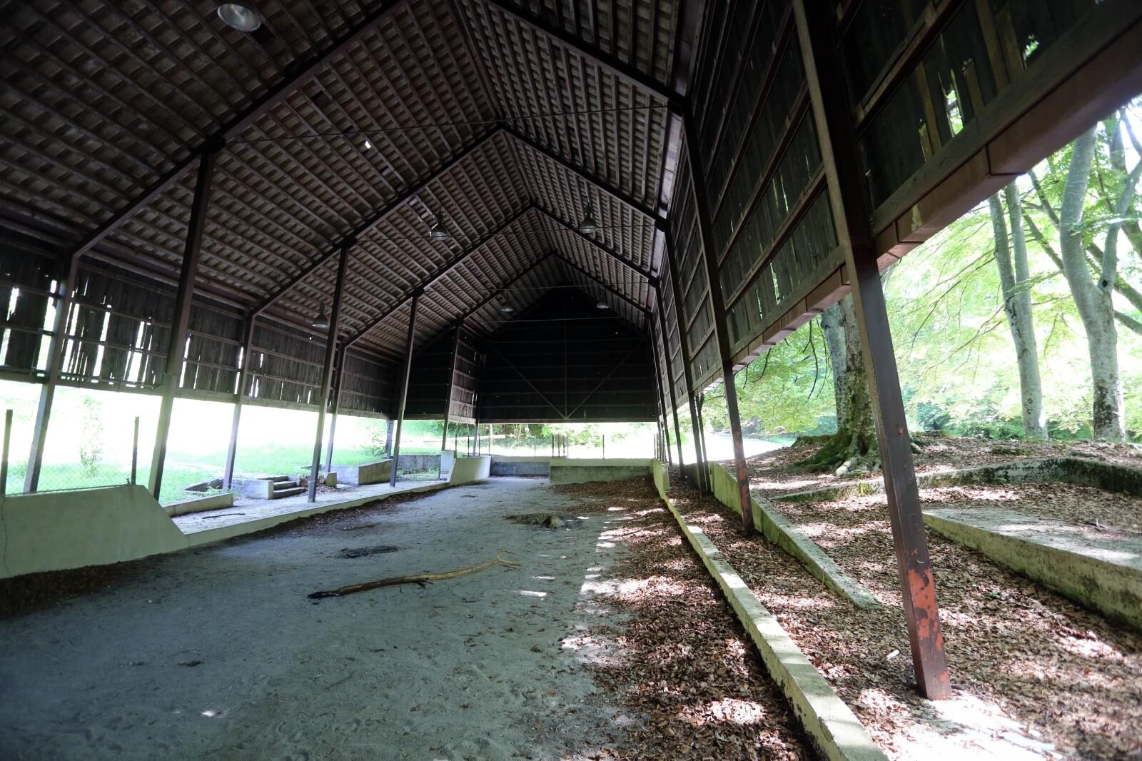 Foto: Goran Kovačić / Pixsell