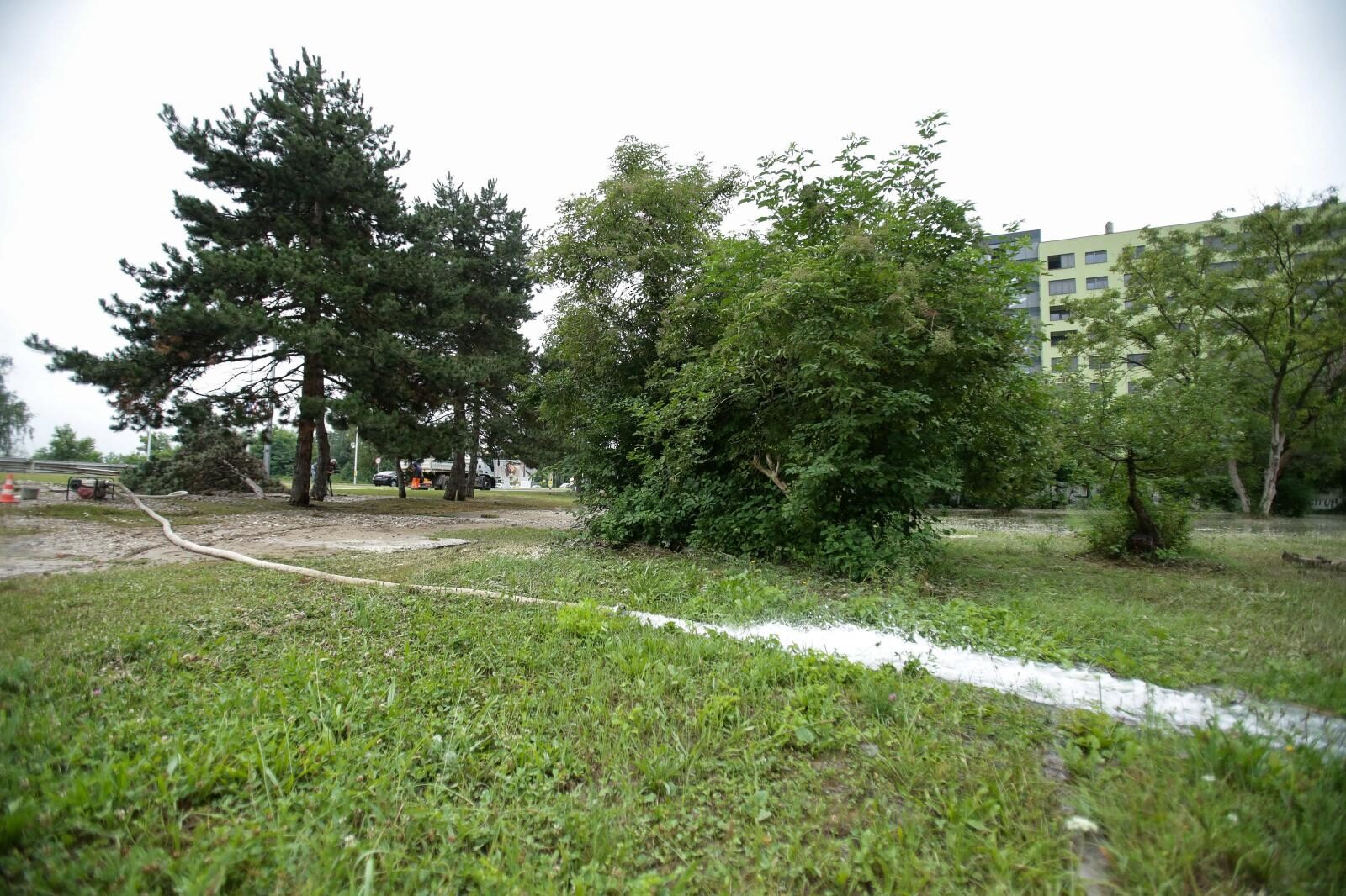 Foto: Filip Kos/PIXSELL