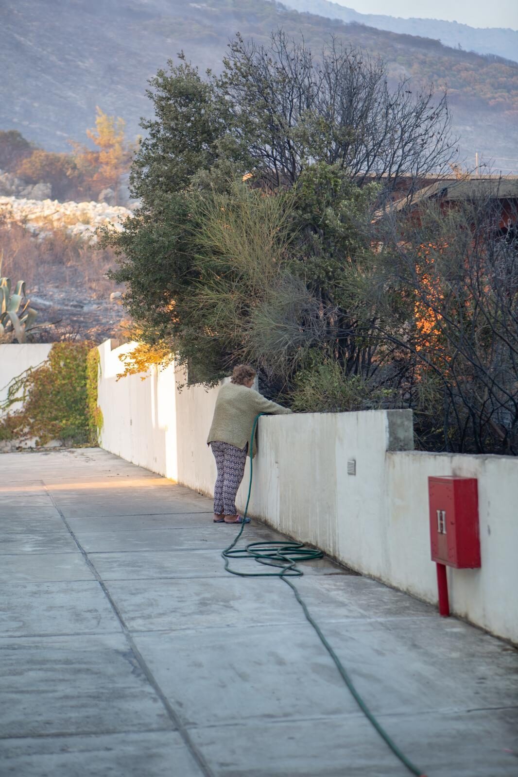 Foto: Grgo Jelavić / Pixsell