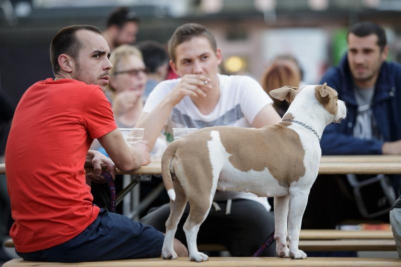 Foto: Davor Puklavec / Pixsell