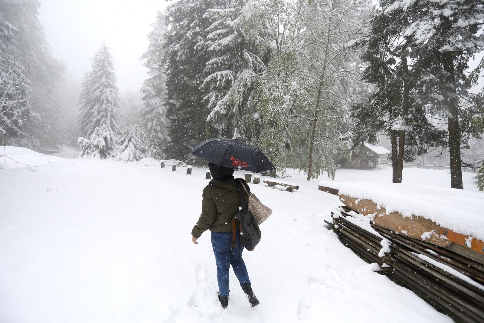 Foto: Patrik Macek/PIXSELL