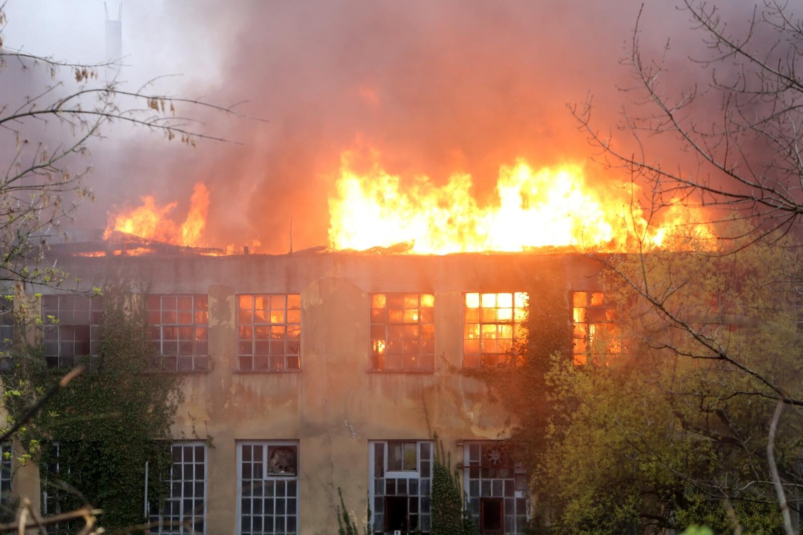 Foto: Kristina Štedul Fabac / Pixsell