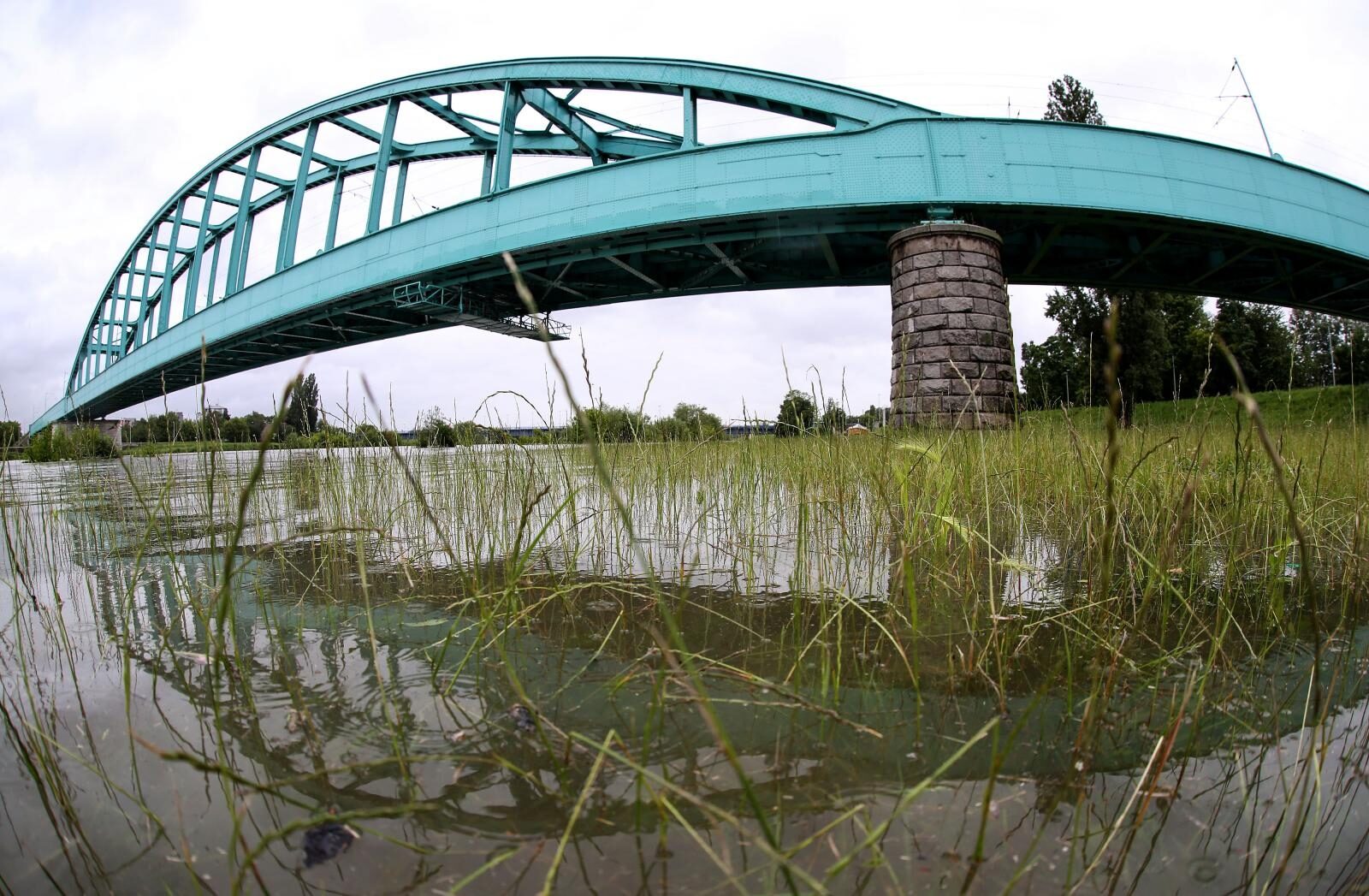 Foto: Marin Tironi/PIXSELL