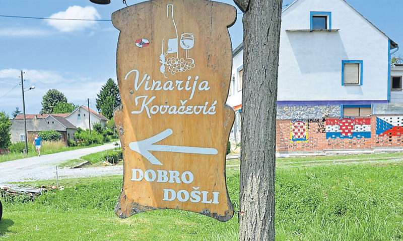 OPG Kovačević proizvede godišnje 25-30 tisuća l vina/D. Špehar/PIXSELL
