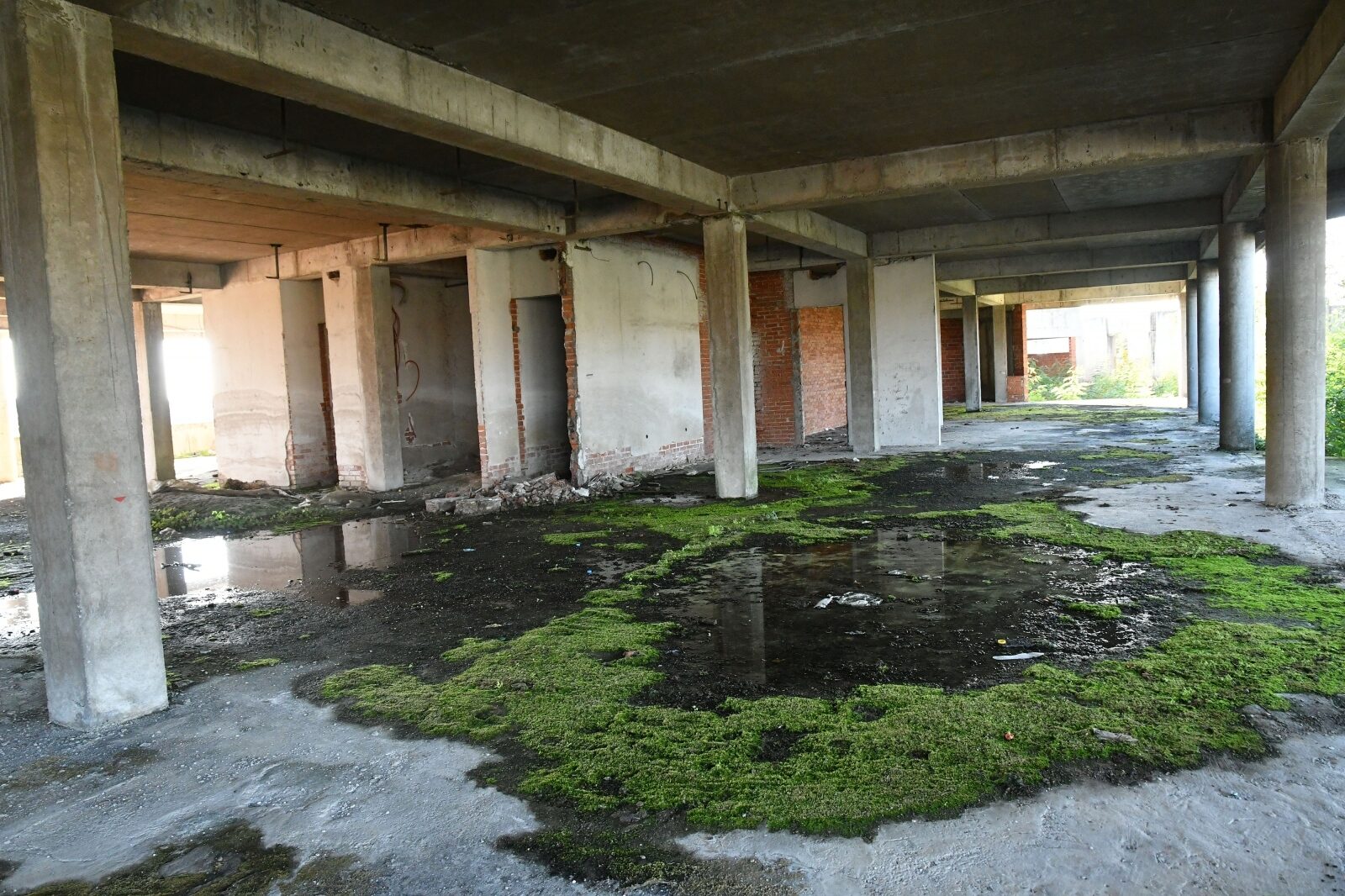 Foto: Ivica Galovic/PIXSELL