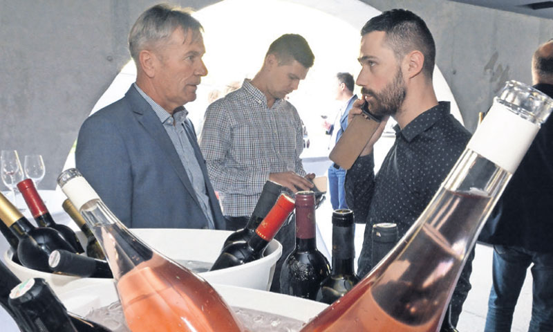 Radimo na prirodnim vinima, bez sumpora i to radimo za svoju dušu, kaže Jeličić/Ivica Galović/PIXSEL