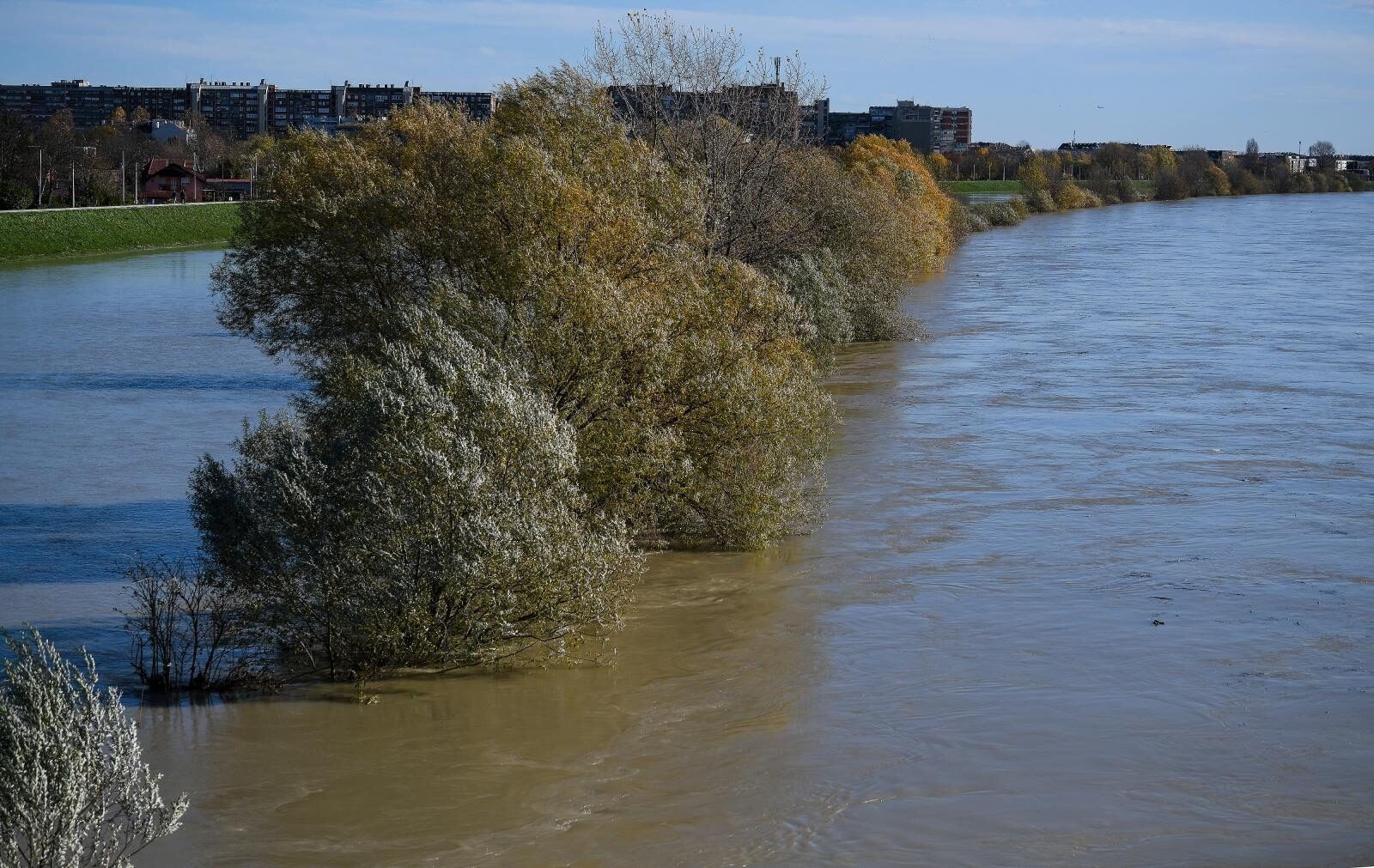 Foto: Sandra Simunovic/PIXSELL