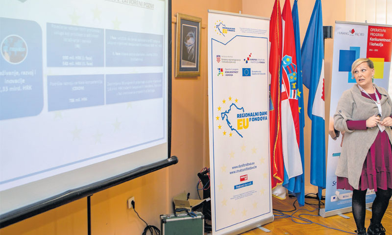 Ina Despotović iz HAMAG-BICRO-a predstavila je je aktualne natječaje i natječaje u najavi/PIXSELL