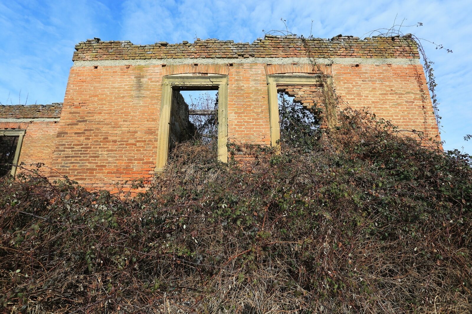 Foto: Davor Javorović / Pixsell