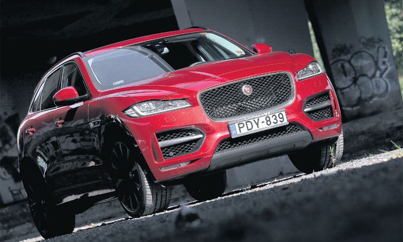 Foto: Igor Kralj/PIXSELL