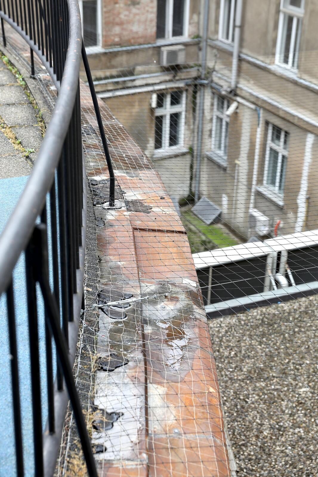 Foto: Patrik Macek/PIXSELL