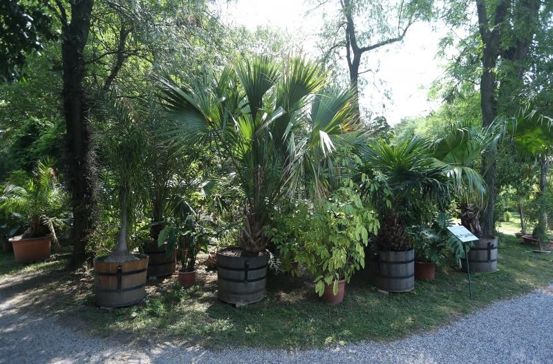 Foto: Sanjin Strukic/PIXSELL