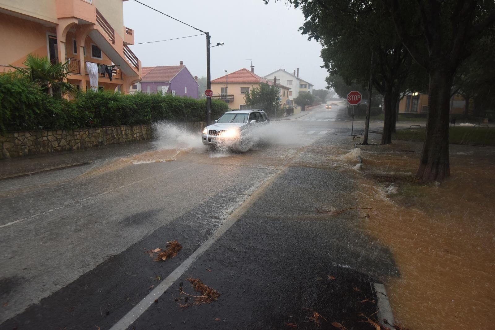 Foto: Dino Stanin/PIXSELL