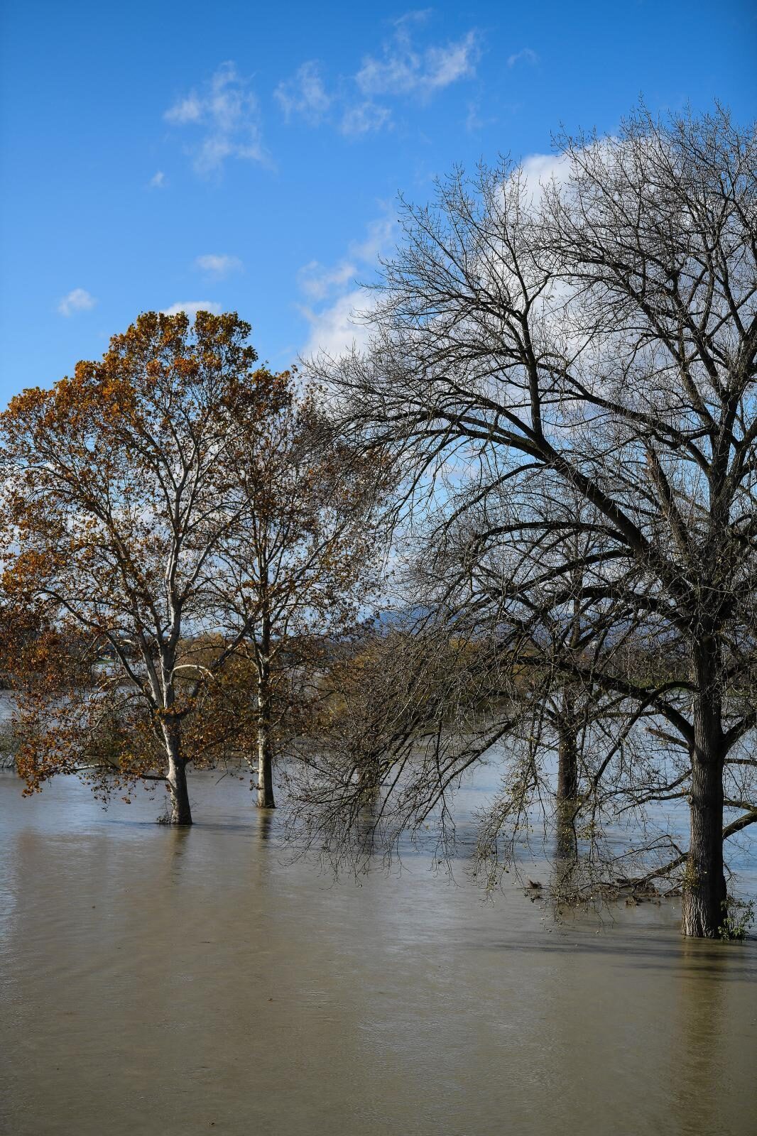 Foto: Sandra Simunovic/PIXSELL