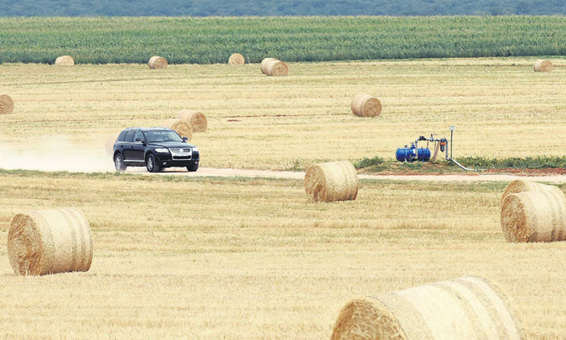 Pročešljat će se upisi provedeni temeljem spornih izjava/D. M./PIXSELL