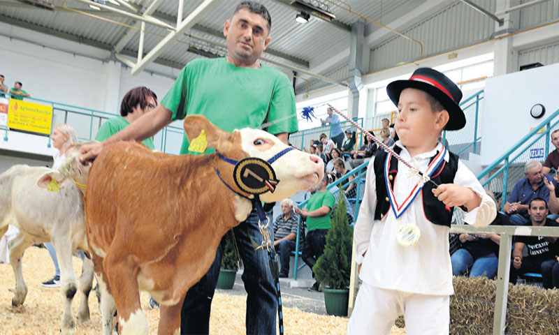 Bambino kup, natjecanje najmlađih uzgajivača goveda, bio je najsimpatičniji događaj prvog dana sajma