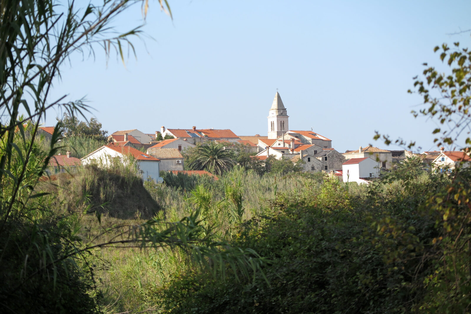 Foto: Ivo Lučić