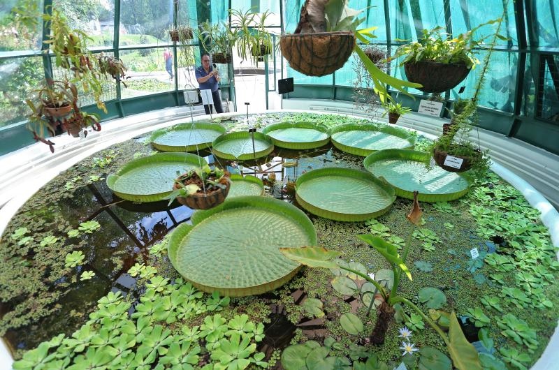 Foto: Sanjin Strukic/PIXSELL