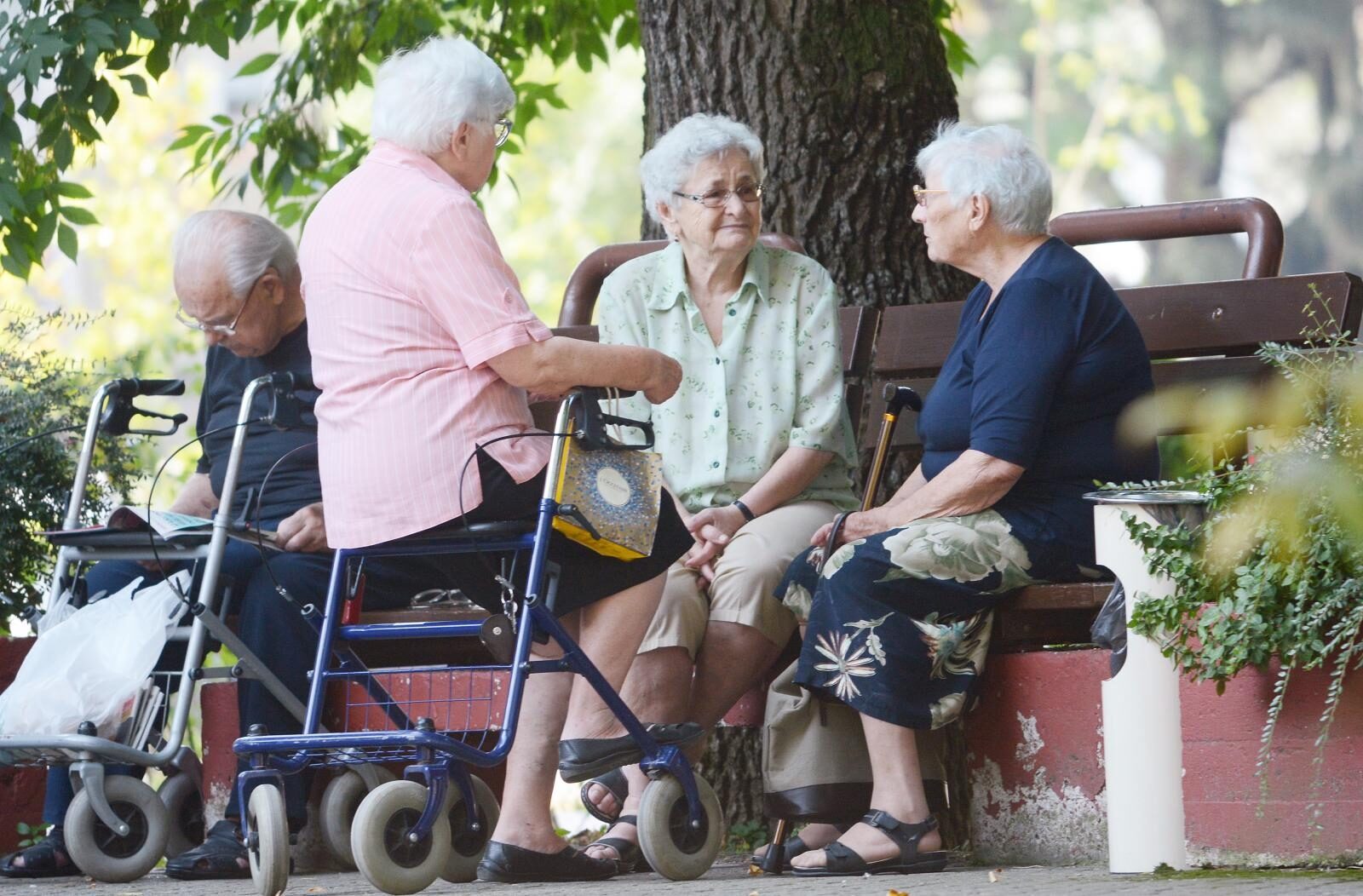 Foto: Nikola Ćutuk / Pixsell