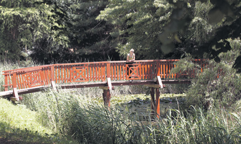 Foto: Arboretum Opeka