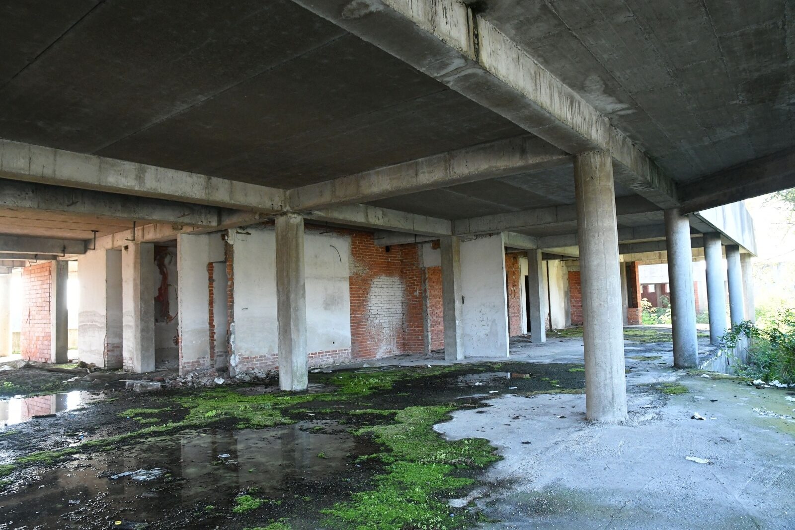 Foto: Ivica Galovic/PIXSELL