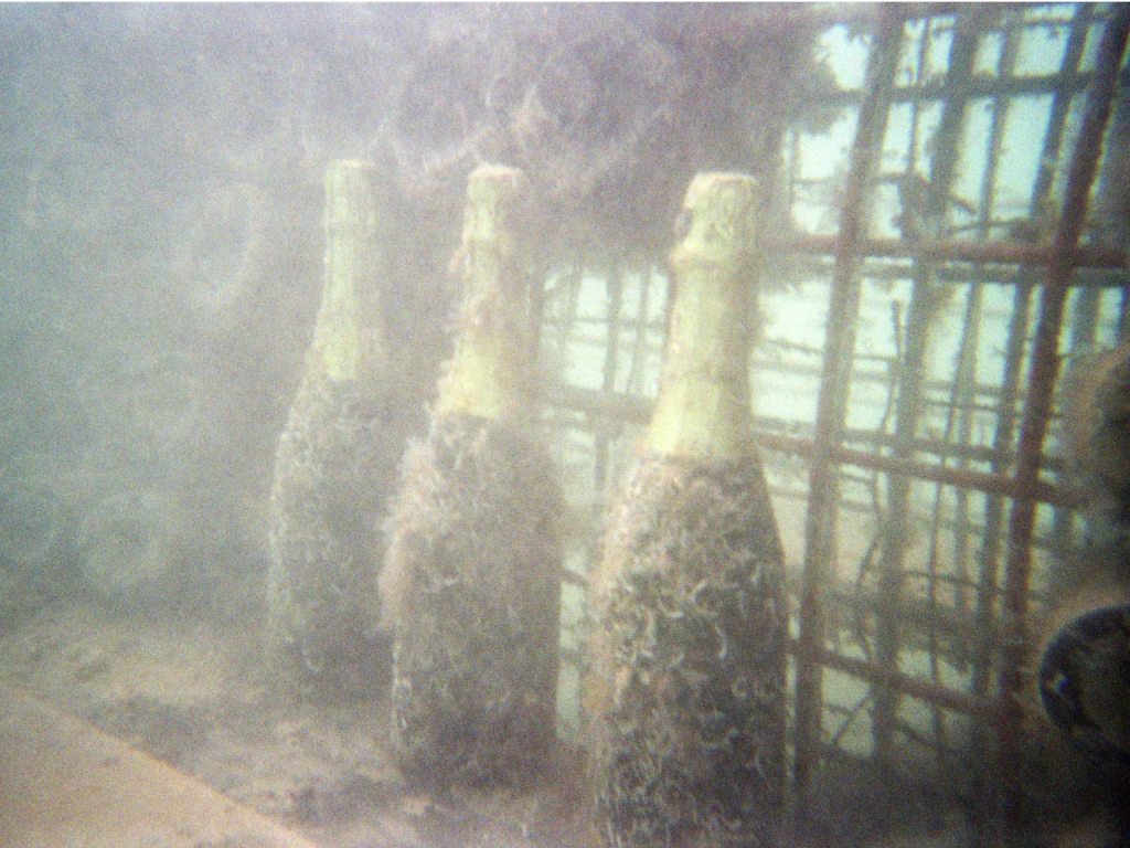 Foto: http://www.edivovina.hr/gallery