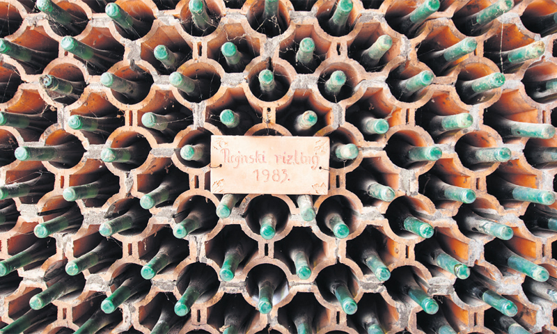 Iločka vinarija u Japanu je od 2012. i to uglavnom preko HoReCa kanala/Iločki podrumi