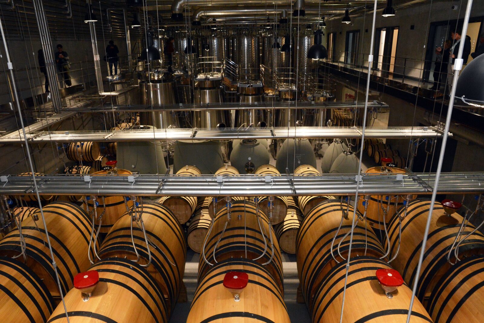 Foto: Ivica Galovic/PIXSELL