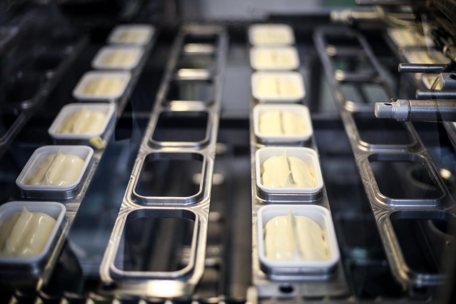 Foto: Petar Glebov / Pixsell